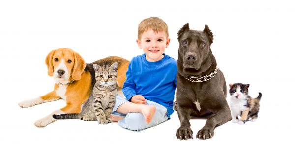 Bloomington Pets