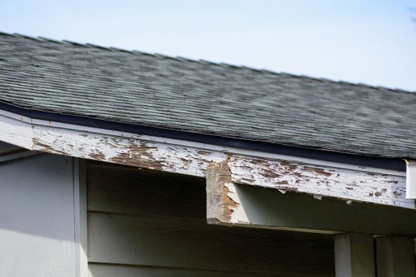 Bloomington Wood Rot Repair