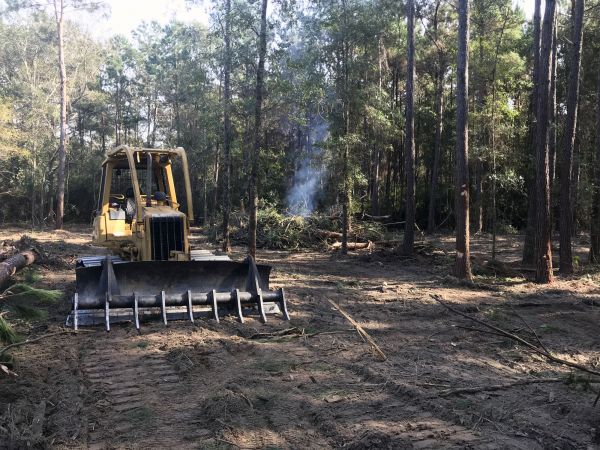 Bloomington Land Clearing