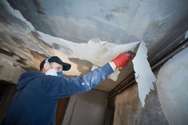Bloomington Fire Restoration