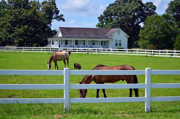 Bloomington Fence Service